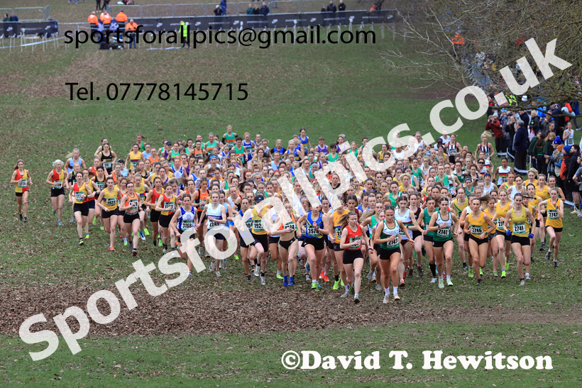 Senior Womens 2026 UK CAU Inter Counties Cross Country, Wollaton Park, Nottingham. Photo: David T. Hewitson/Sports for All Pics